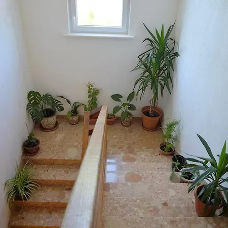 Apartamento Milly *