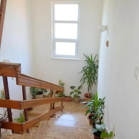 Milly Poljica (Trogir)
